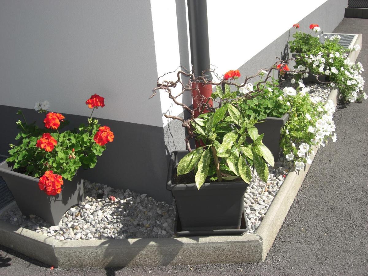 Die Gartenwohnung - Tanja Tipotsch Schwendau Eksteriør billede
