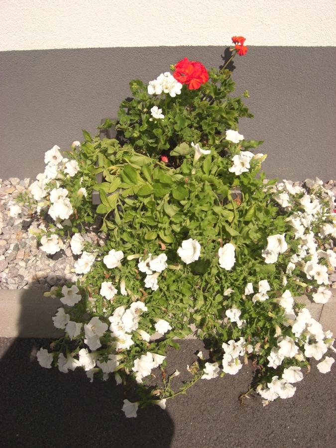 Die Gartenwohnung - Tanja Tipotsch Schwendau Eksteriør billede